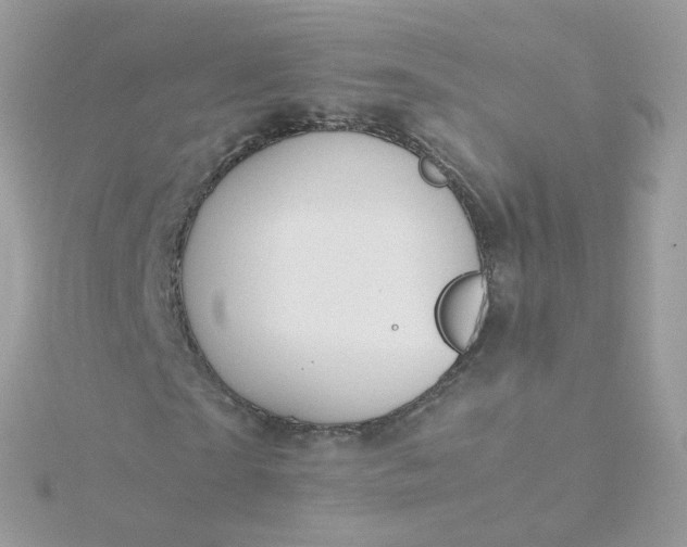 X0000115700865200911251832