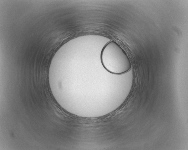 X0000115700868200911251832