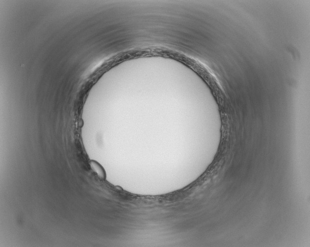 X0000115700871200911251832