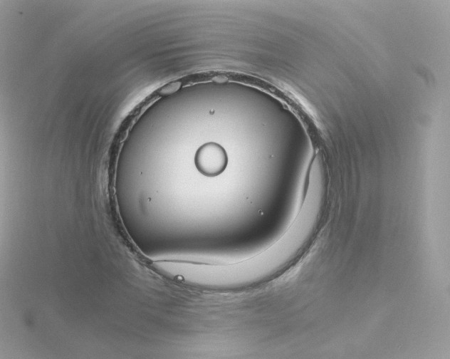 X0000115700877200911251832