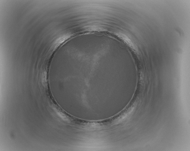 X0000115700881200911251832