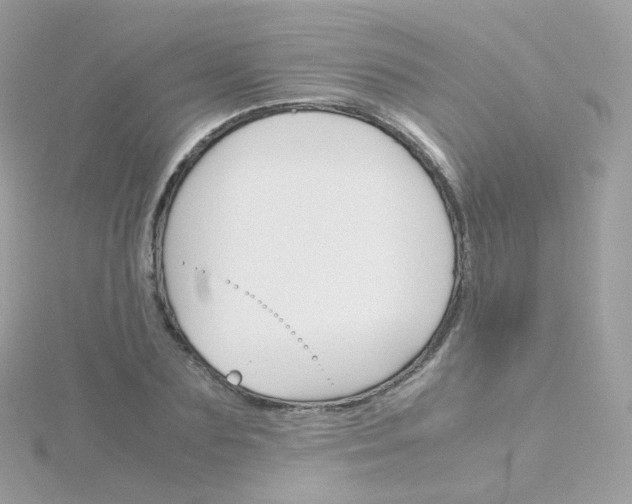 X0000115700883200911251832