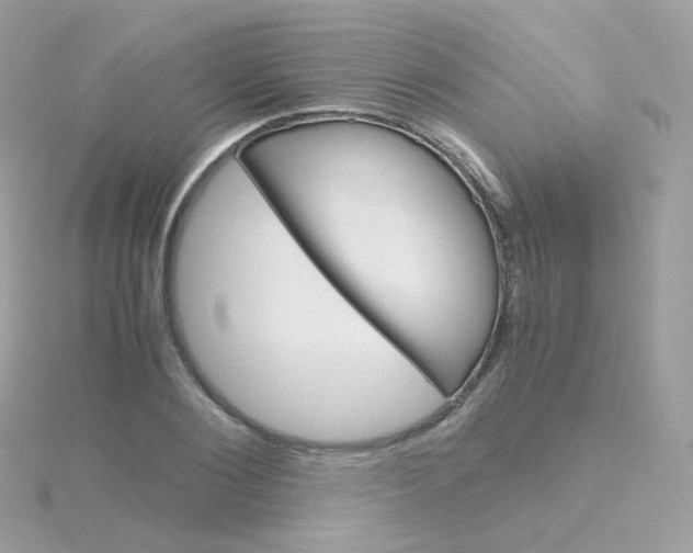 X0000115700884200911251832