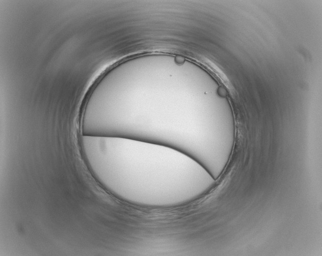 X0000115700891200911251832