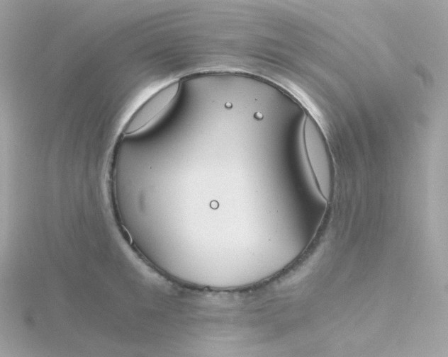 X0000115700901200911251832