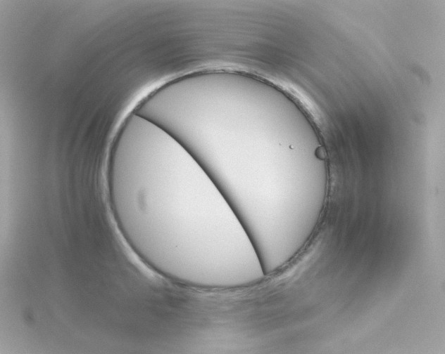 X0000115700902200911251832