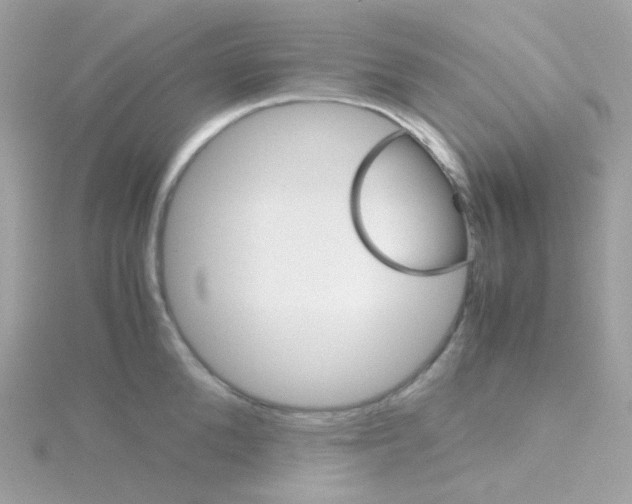 X0000115700904200911251832