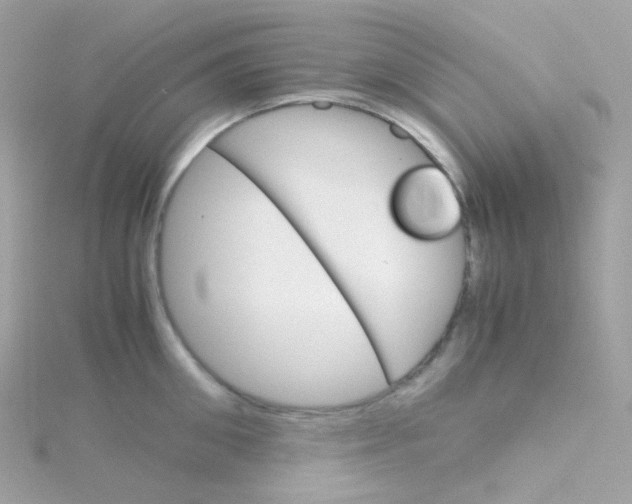 X0000115700906200911251832