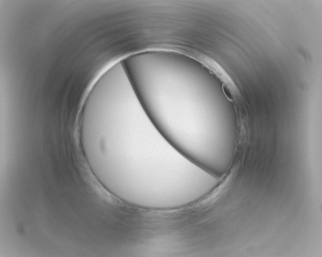 X0000115700908200911251832