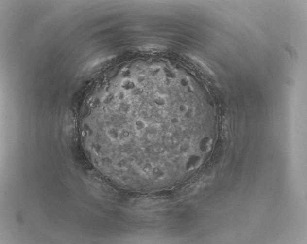 X0000115700917200911251831