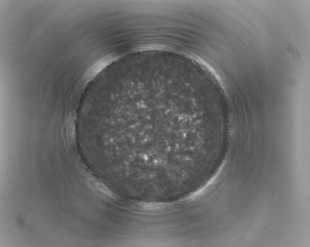 X0000115700921200911251831