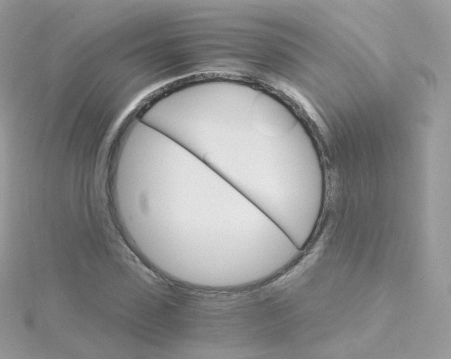 X0000115700923200911251831