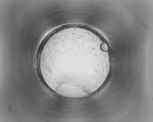 X0000115700927200911251831