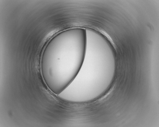 X0000115700930200911251831