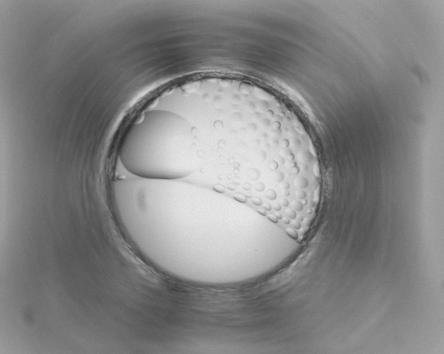 X0000115700931200911251831