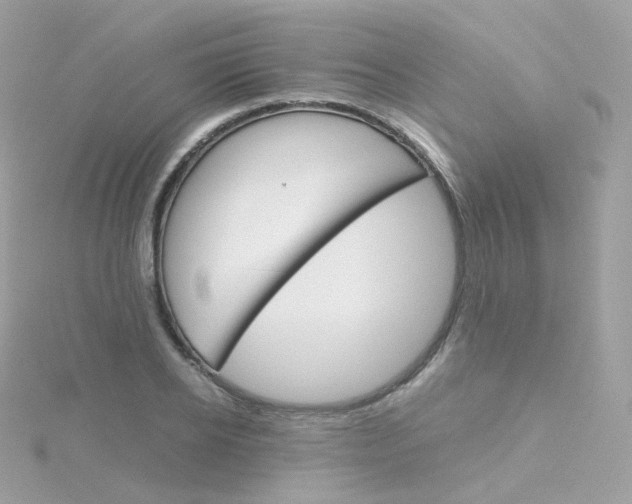 X0000115700934200911251831