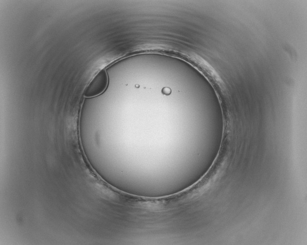 X0000115700937200911251831