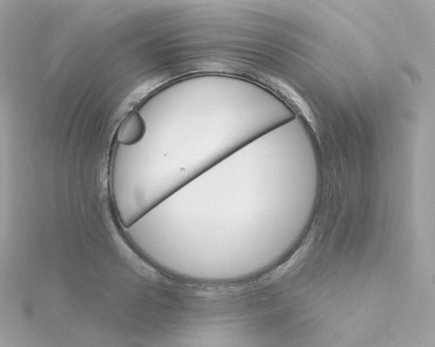 X0000115700938200911251831