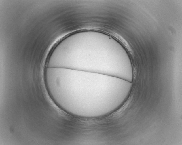 X0000115700939200911251831