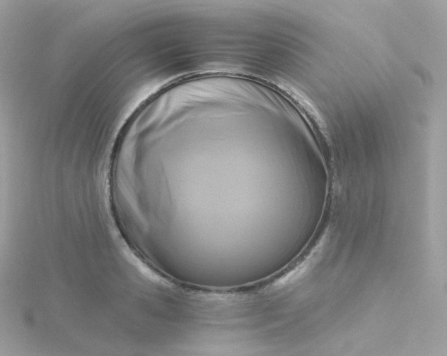 X0000115700941200911251831