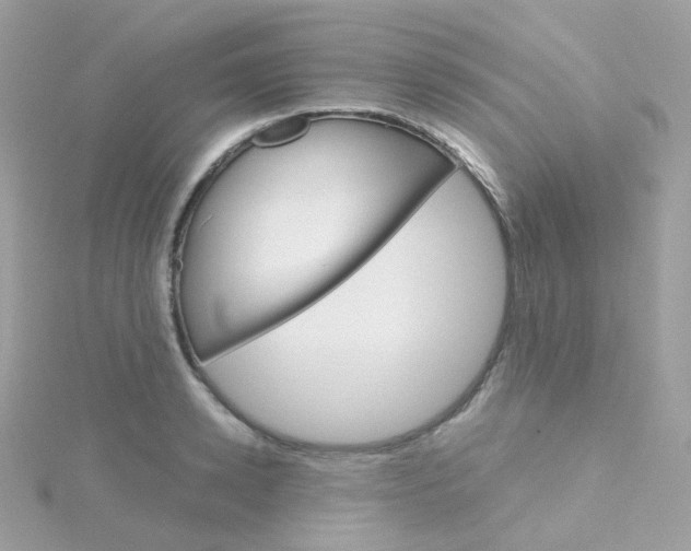 X0000115700942200911251831