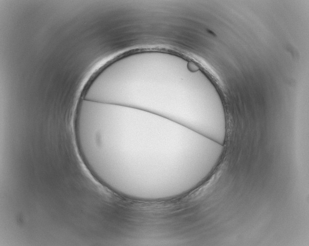 X0000115700943200911251831