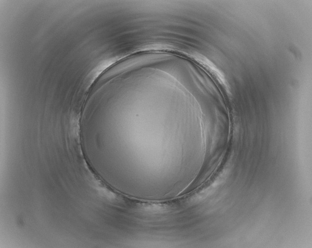 X0000115700945200911251831