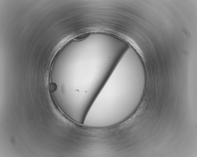 X0000115700946200911251831