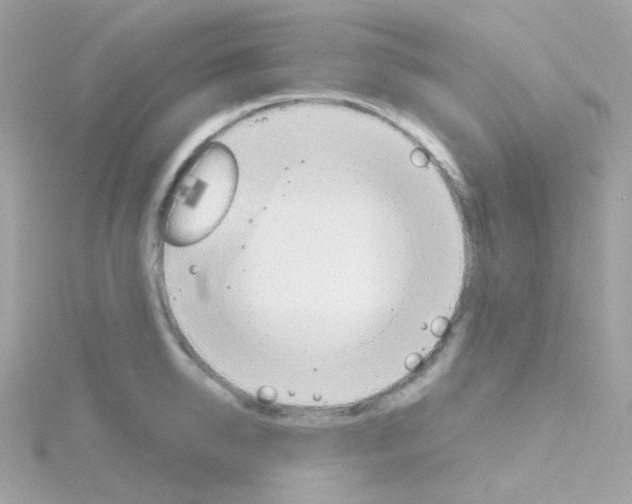 X0000115700950200911251831