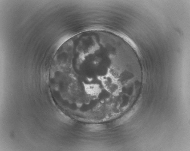 X0000115700953200911251831