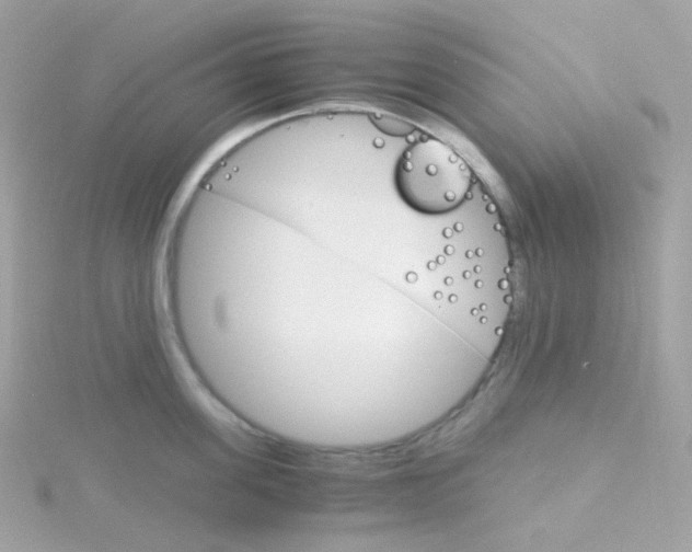 X0000115700955200911251831