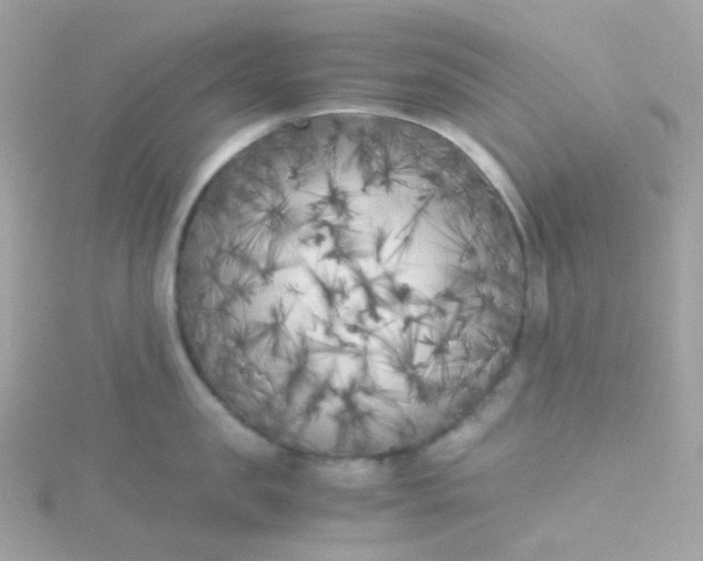 X0000115700957200911251831