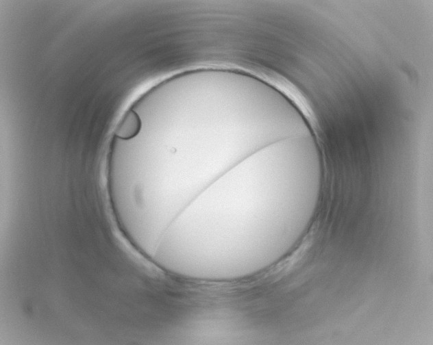 X0000115700958200911251831