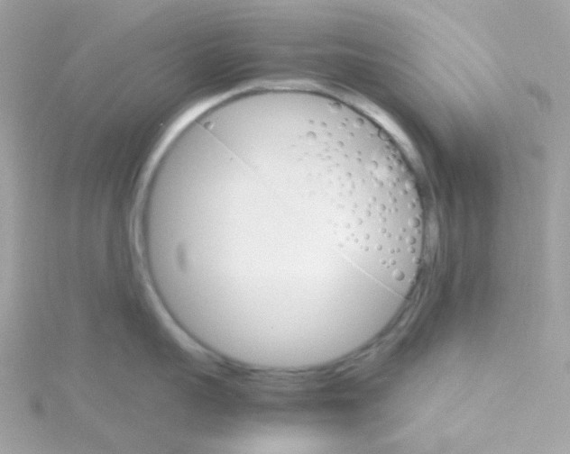 X0000115700959200911251831