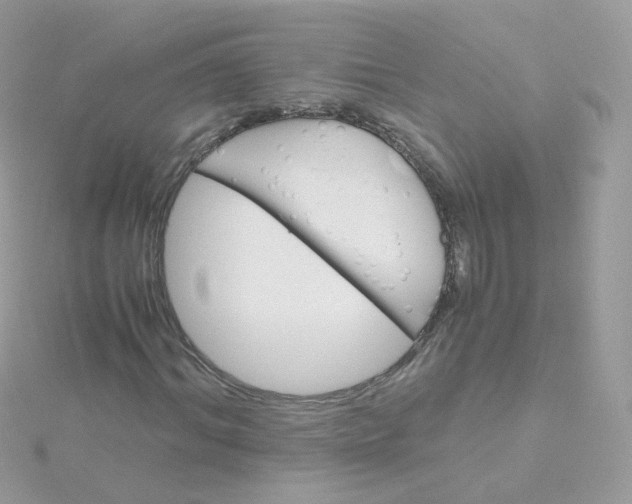 X0000115700964200911251831