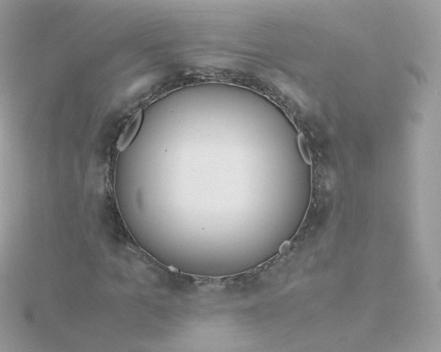 X0000115700965200911251831