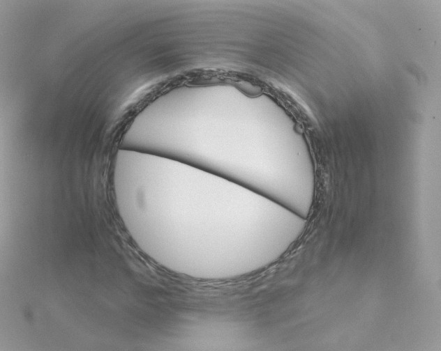 X0000115700968200911251831