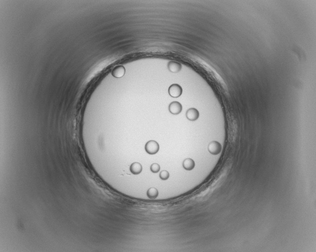 X0000115700970200911251831