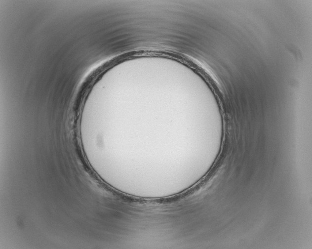 X0000115700971200911251831