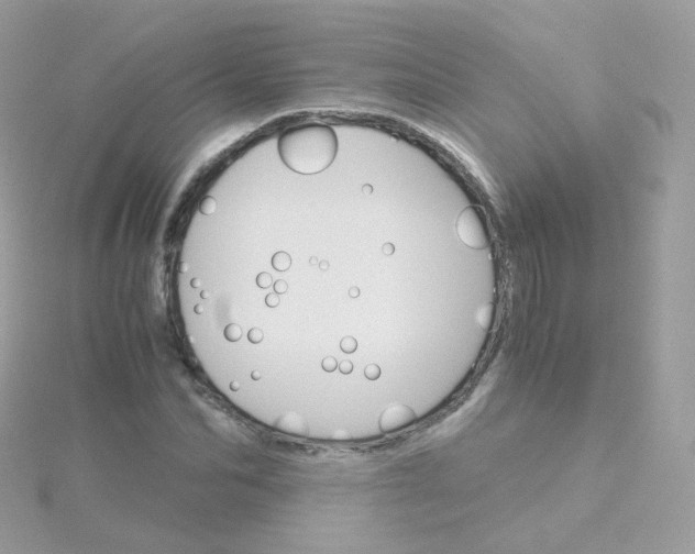 X0000115700974200911251831