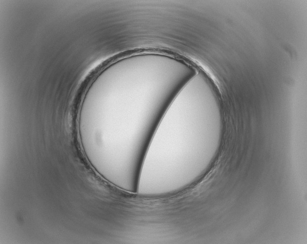 X0000115700975200911251831