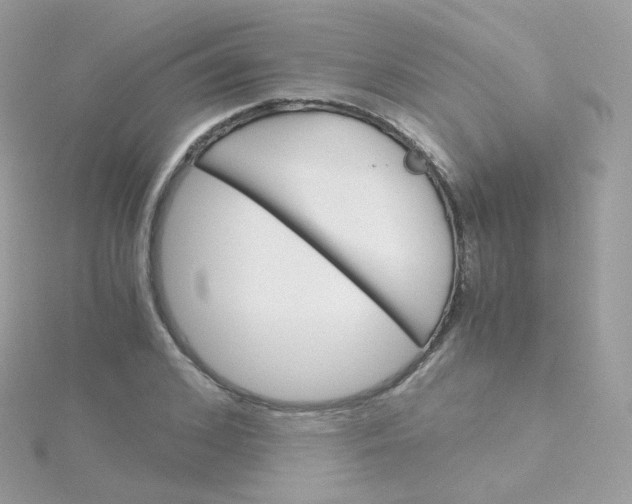 X0000115700976200911251831