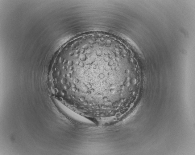 X0000115700977200911251830