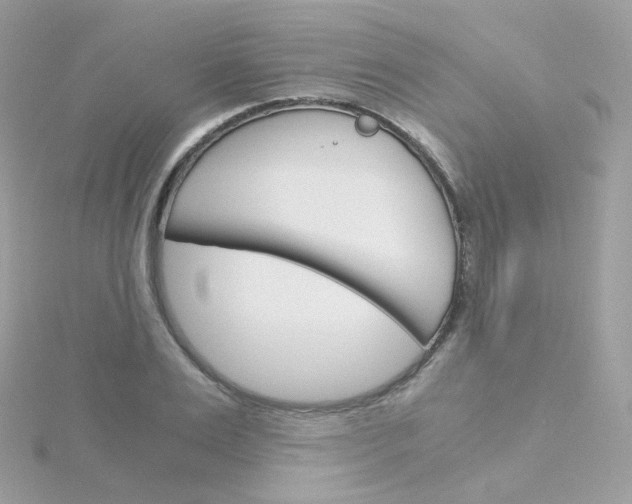 X0000115700983200911251830