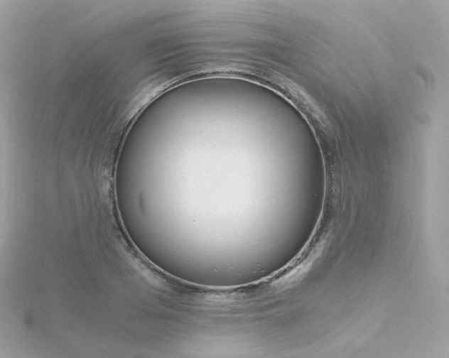 X0000115700985200911251830