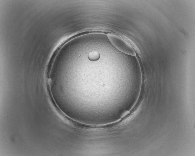 X0000115700989200911251830