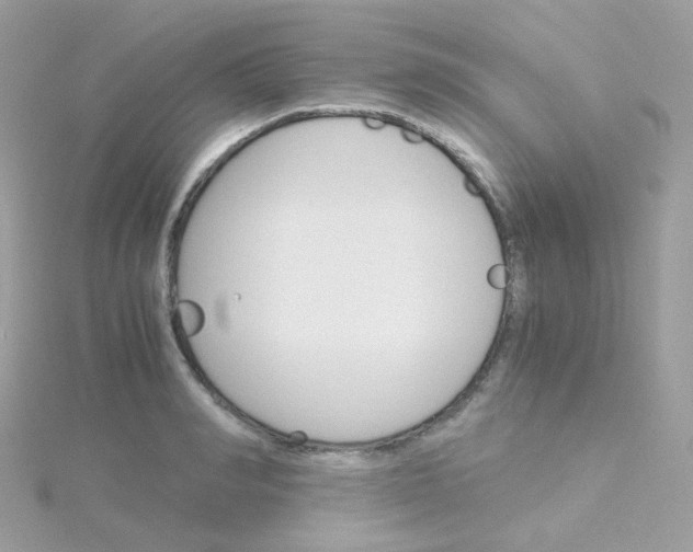 X0000115700990200911251830