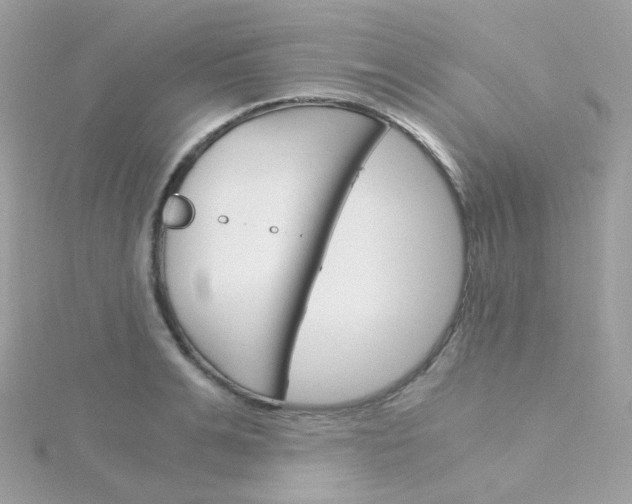 X0000115700991200911251830