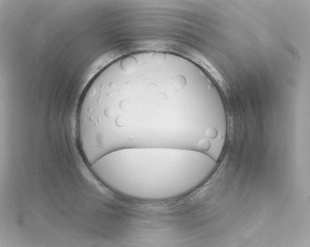 X0000115700994200911251830