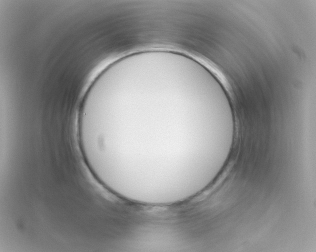 X0000115701006200911251830